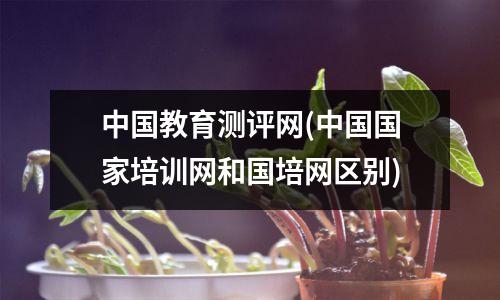 中国教育测评网(中国国家培训网和国培网区别)