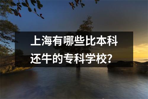 上海有哪些比本科还牛的专科学校?