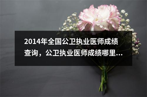2014年全国公卫执业医师成绩查询,公卫执业医师成绩哪里查14年