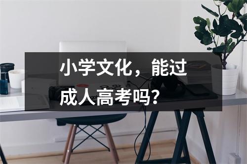 小学文化，能过成人高考吗？