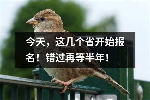 今天,这几个省开始报名!错过再等半年!