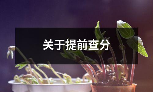 关于提前查分