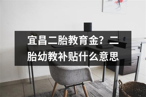 宜昌二胎教育金?二胎幼教补贴什么意思
