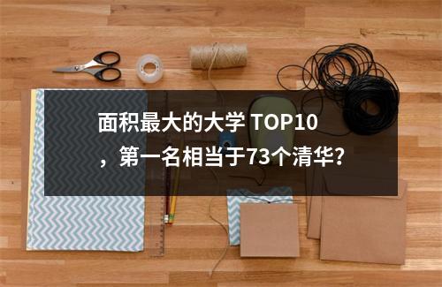面积最大的大学 TOP10，第一名相当于73个清华？