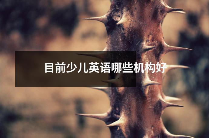 目前少儿英语哪些机构好