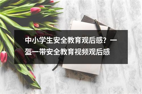 中小学生安全教育观后感?一盔一带安全教育视频观后感