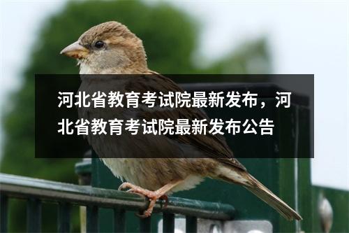 河北省教育考试院最新发布,河北省教育考试院最新发布公告