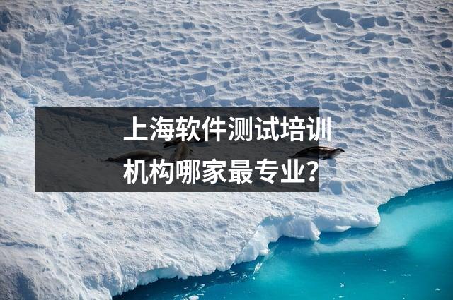 上海软件测试培训机构哪家最专业?