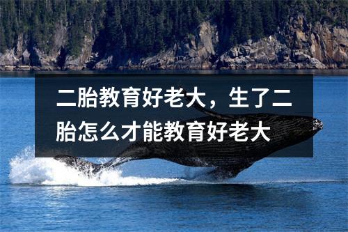 二胎教育好老大,生了二胎怎么才能教育好老大