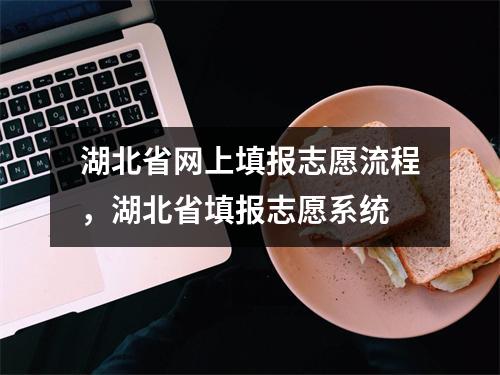 湖北省网上填报志愿流程，湖北省填报志愿系统