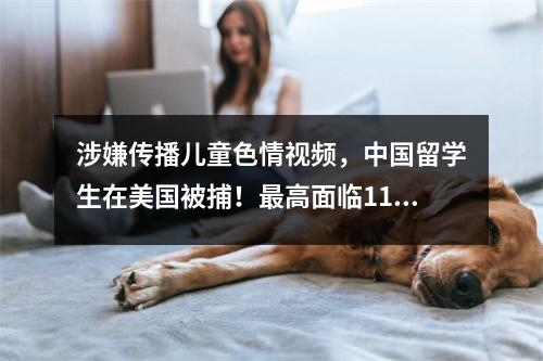 涉嫌传播儿童色情视频，中国留学生在美国被捕！最高面临110年刑期！