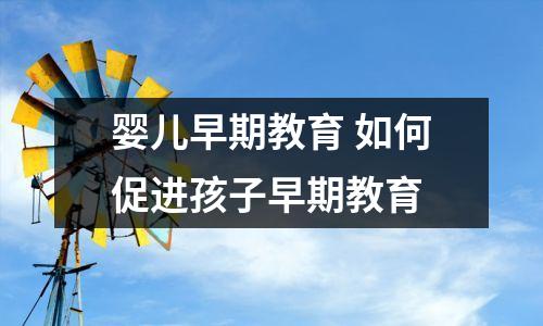 婴儿早期教育 如何促进孩子早期教育
