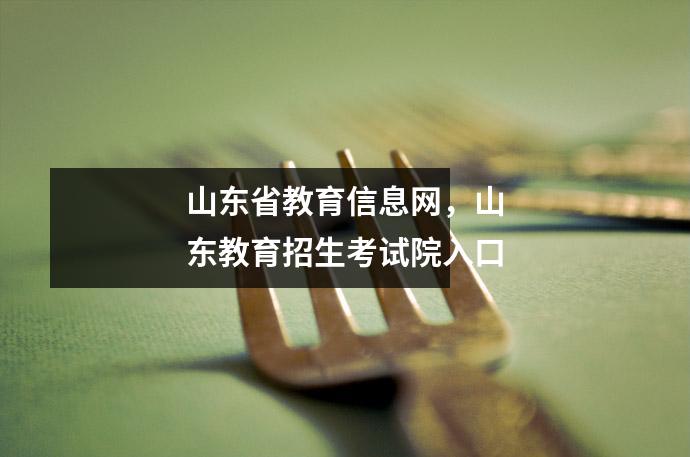 山东省教育信息网，山东教育招生考试院入口