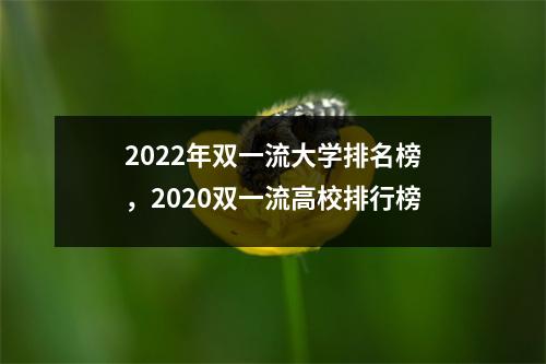 2022年双一流大学排名榜,2020双一流高校排行榜