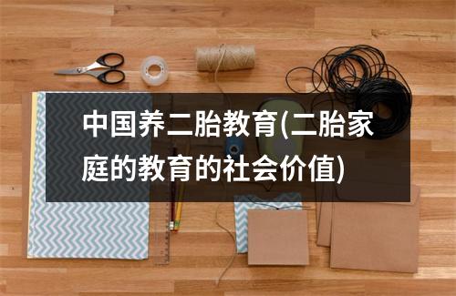 中国养二胎教育(二胎家庭的教育的社会价值)
