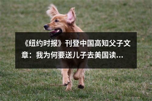 《纽约时报》刊登中国高知父子文章:我为何要送儿子去美国读大学?