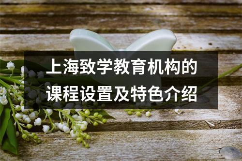 上海致学教育机构的课程设置及特色介绍