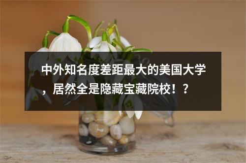 中外知名度差距最大的美国大学,居然全是隐藏宝藏院校!?