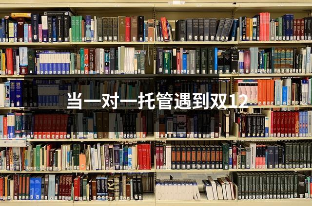 当一对一托管遇到双12