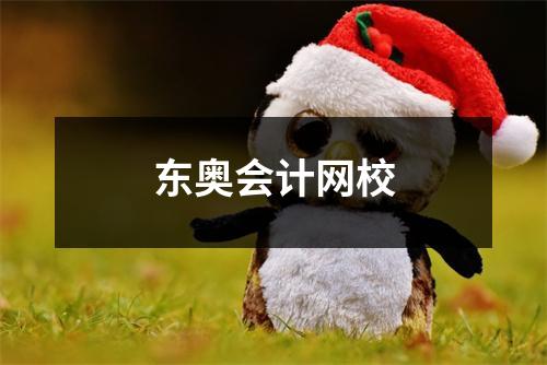 东奥会计网校