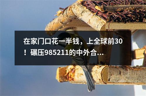 在家门口花一半钱,上全球前30!碾压985211的中外合办院校,你还不申?