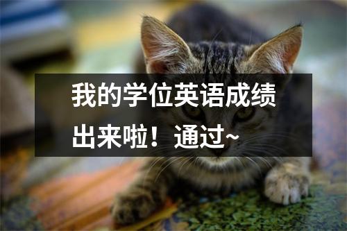 我的学位英语成绩出来啦!通过~