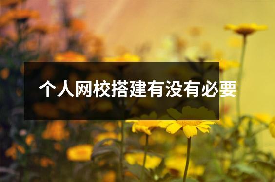 个人网校搭建有没有必要