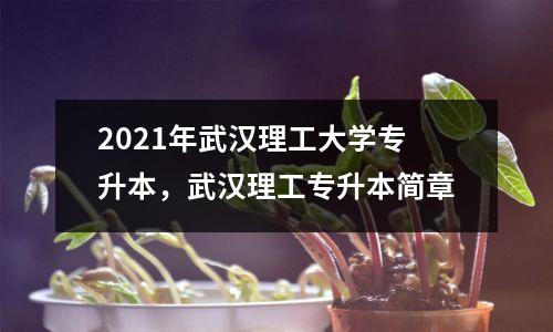 2021年武汉理工大学专升本,武汉理工专升本简章