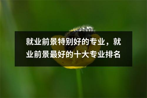 就业前景特别好的专业,就业前景最好的十大专业排名