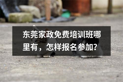 东莞家政免费培训班哪里有,怎样报名参加?