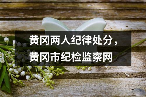 黄冈两人纪律处分，黄冈市纪检监察网