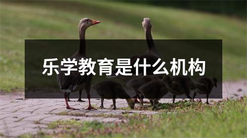 乐学教育是什么机构