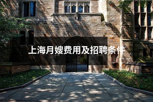 上海月嫂费用及招聘条件