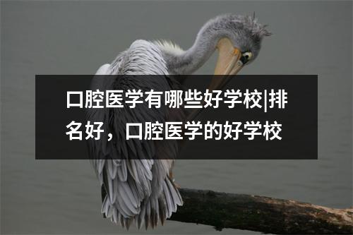 口腔医学有哪些好学校|排名好,口腔医学的好学校
