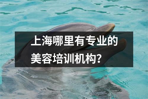 上海哪里有专业的美容培训机构?
