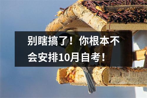 别瞎搞了！你根本不会安排10月自考！