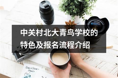 中关村北大青鸟学校的特色及报名流程介绍