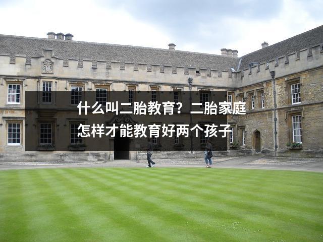 什么叫二胎教育?二胎家庭怎样才能教育好两个孩子