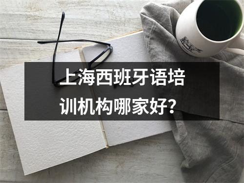 上海西班牙语培训机构哪家好?
