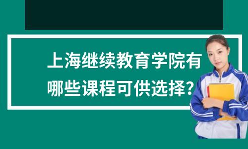 上海继续教育学院有哪些课程可供选择?