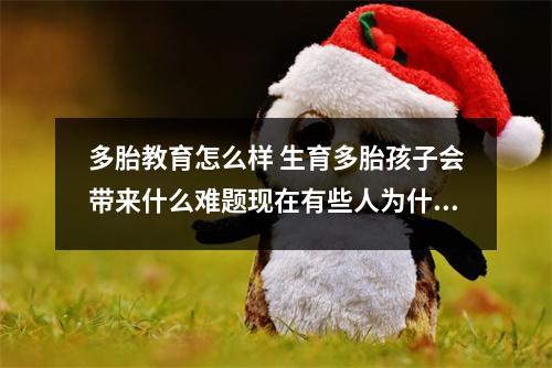 多胎教育怎么样 生育多胎孩子会带来什么难题现在有些人为什么不重视“传宗接代”