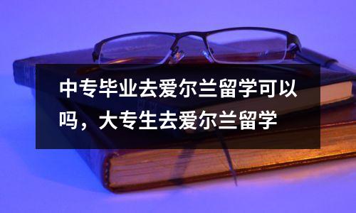 中专毕业去爱尔兰留学可以吗，大专生去爱尔兰留学