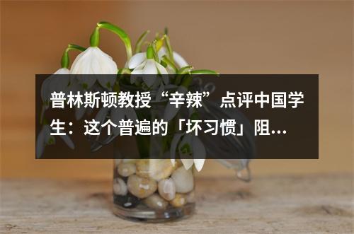 普林斯顿教授“辛辣”点评中国学生:这个普遍的「坏习惯」阻碍了他们的长远发展
