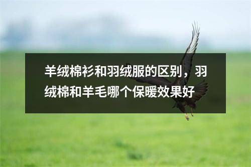 羊绒棉衫和羽绒服的区别,羽绒棉和羊毛哪个保暖效果好