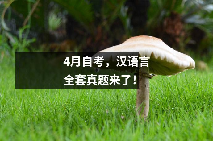 4月自考,汉语言全套真题来了!