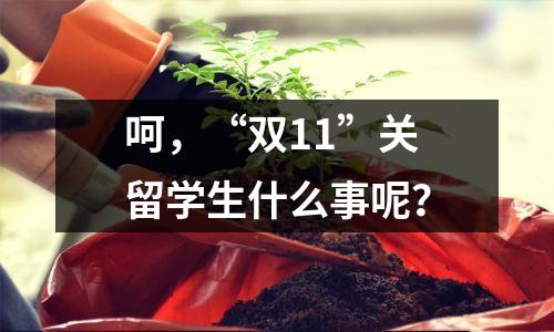 呵，“双11”关留学生什么事呢？