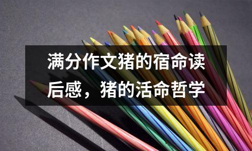满分作文猪的宿命读后感,猪的活命哲学
