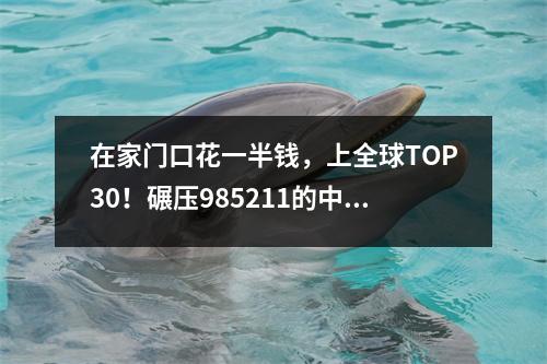 在家门口花一半钱，上全球TOP30！碾压985211的中外合办院校，你还不申？