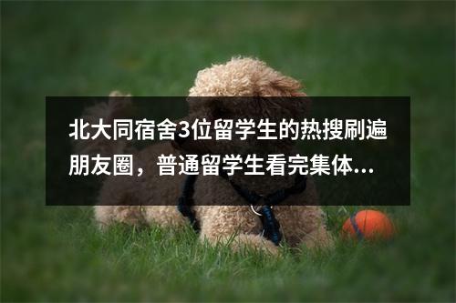 北大同宿舍3位留学生的热搜刷遍朋友圈,普通留学生看完集体自闭