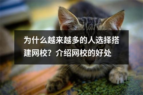 为什么越来越多的人选择搭建网校？介绍网校的好处